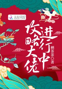 攻略大佬进行中