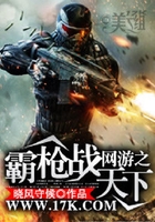 網游之霸槍戰天下在線閱讀