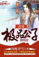 贞观极品公子