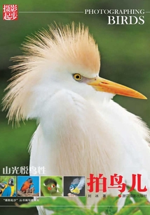山光悅鳥性：拍鳥兒（“攝影起步”系列）