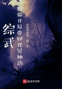 綜武:貓貓開局帶回北冥神功