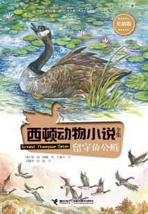 西顿动物小说全集:留守的公雁(彩绘版)