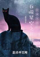 吞噬星空之开局获得浑源级传承在线阅读