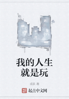 我的人生就是玩在线阅读