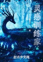 精灵：灵感训练家