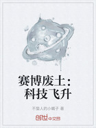 赛博废土:科技飞升在线阅读