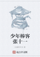 少年棒客張十一在線閱讀