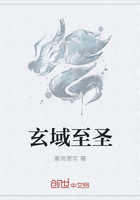 玄域至圣在線閱讀