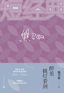 醉里挑灯看剑(茅奖短经典)