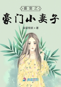 盛寵之豪門小妻子