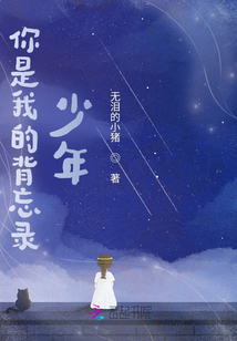 你是我的背忘錄少年