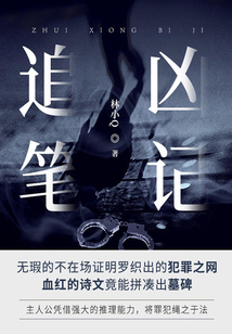 追凶笔记（第4卷）