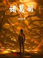 诸葛羽在线阅读