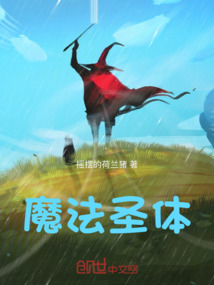 魔法圣體