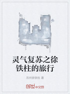 靈氣復(fù)蘇之徐鐵柱的旅行在線閱讀