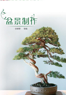 盆景制作