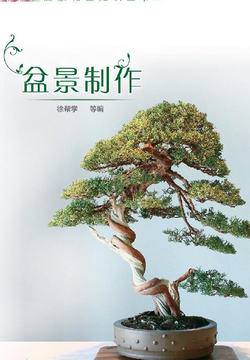 盆景制作