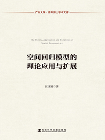 空間回歸模型的理論應(yīng)用與擴(kuò)展