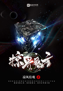 掠界魔方