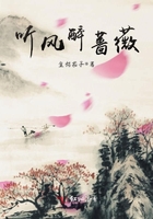听风醉蔷薇