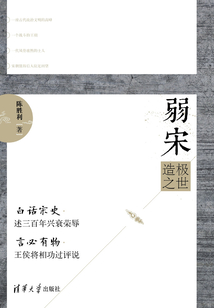 弱宋:造極之世