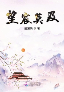望宸莫及