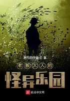 老板大人的怪异乐园在线阅读