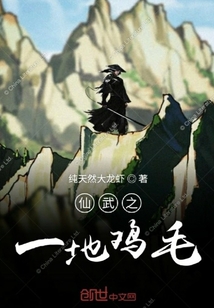 仙武之一地雞毛