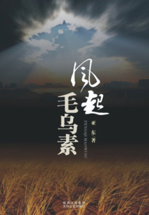 风起毛乌素
