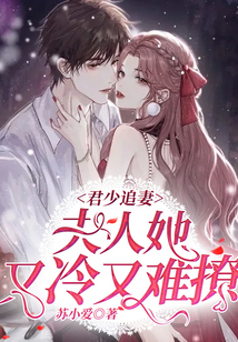 君少追妻，夫人她又冷又难撩！