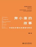 奔小康的故事：中国经济增长的逻辑与辩证在线阅读