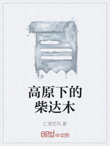 高原下的柴達木