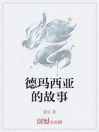 德玛西亚的故事在线阅读