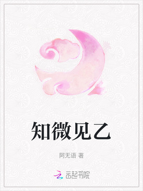 知微见乙在线阅读