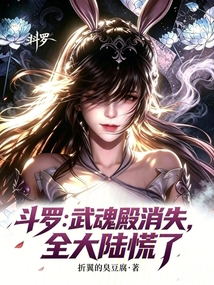 斗罗:武魂殿消失,全大陆慌了! 封面
