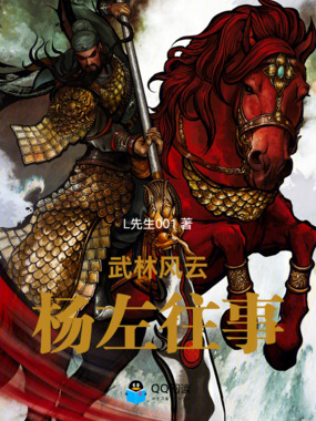 武林风云:杨左往事在线阅读