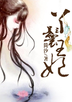 丫鬟王妃在線閱讀
