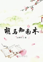 胡马知南木