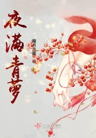 夜满青萝在线阅读