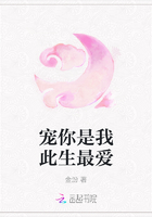 宠你是我此生最爱