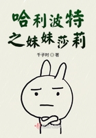 哈利波特之妹妹莎莉在线阅读