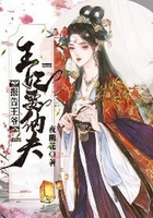 报告王爷:王妃要纳夫