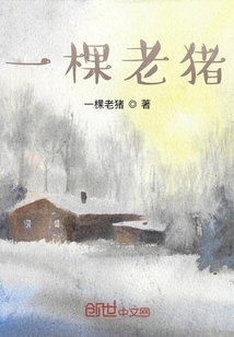 一棵老豬