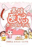 暴躁医妃专治各种不服