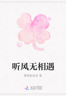 聽風(fēng)無相遇