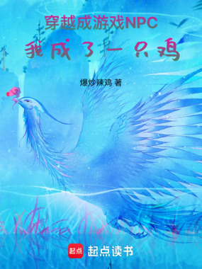 穿越成游戏NPC,我成了一只鸡在线阅读