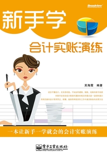 新手學會計實賬演練