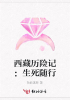 西藏歷險記：生死隨行在線閱讀