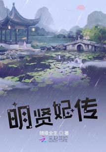 明賢妃傳