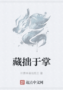 藏拙于掌